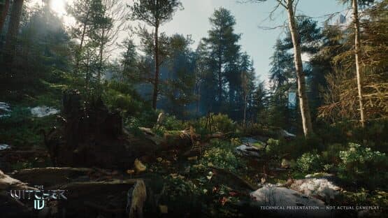 The Witcher IV — screenshot 6
