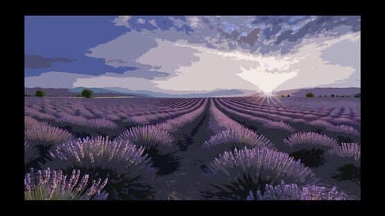 Lavender Field — screenshot 1