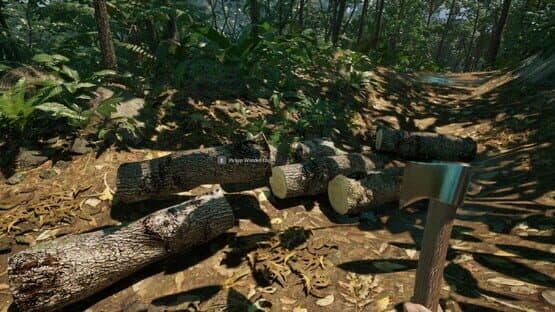 Bandeirantes: The Game. — screenshot 4