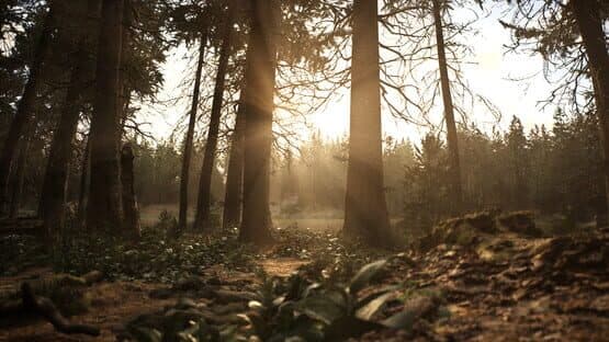 Whispers in the Fog — screenshot 2