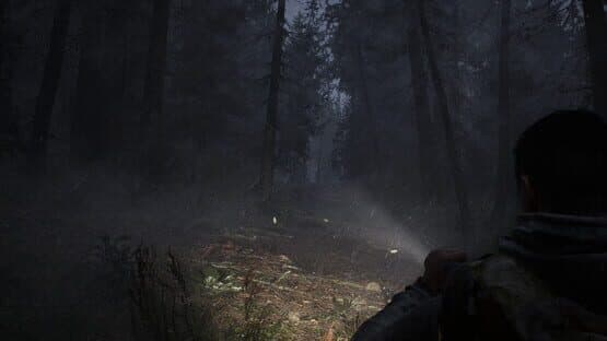 Whispers in the Fog — screenshot 3