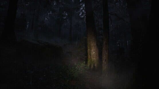 Whispers in the Fog — screenshot 7