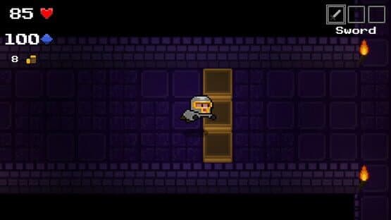 Knight of the Dungeon — screenshot 2