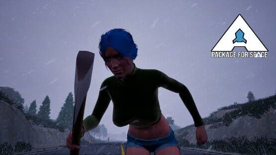 A Package for Space — screenshot 5