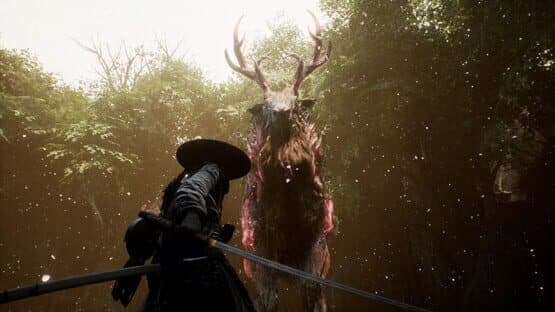 Beast of Reincarnation — screenshot 1
