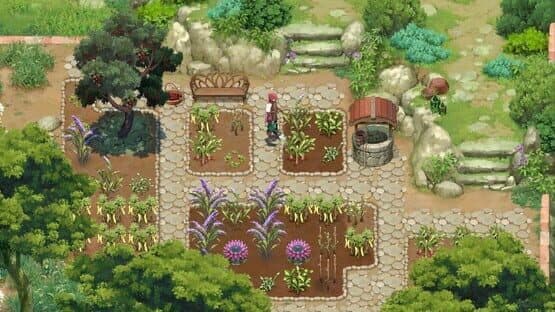 Mandrake — screenshot 1