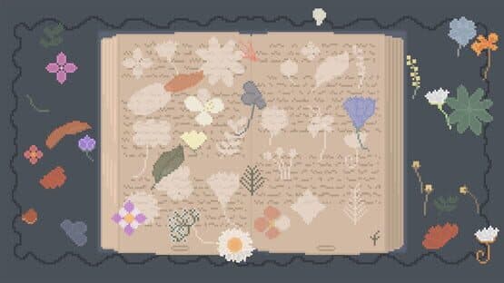 Raccoon Cocoon — screenshot 3