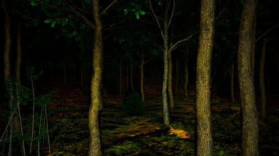 The Death Forest — screenshot 8
