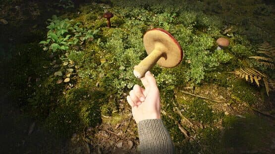 Mushroom Hunter Simulator — screenshot 2