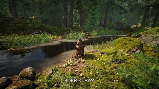 Mushroom Hunter Simulator — screenshot 4