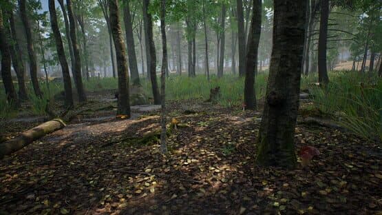 Mushroom Hunter Simulator — screenshot 6