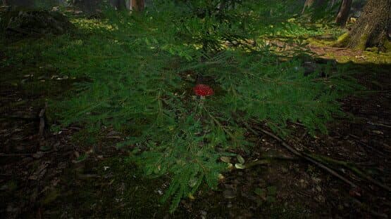 Mushroom Hunter Simulator — screenshot 7