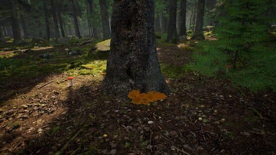 Mushroom Hunter Simulator — screenshot 8