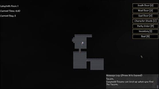 Liege of the Labyrinth — screenshot 5