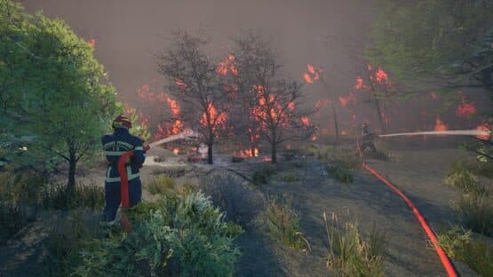 Rescue Ops: Wildfire — screenshot 5