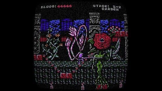 Lady Dracula — screenshot 3