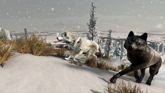 WolfQuest: Anniversary Edition — screenshot 8