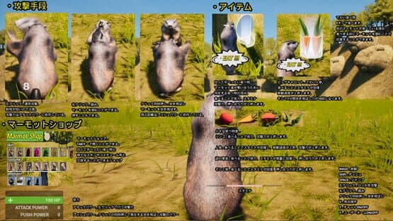 Marmot Fight Club — screenshot 1
