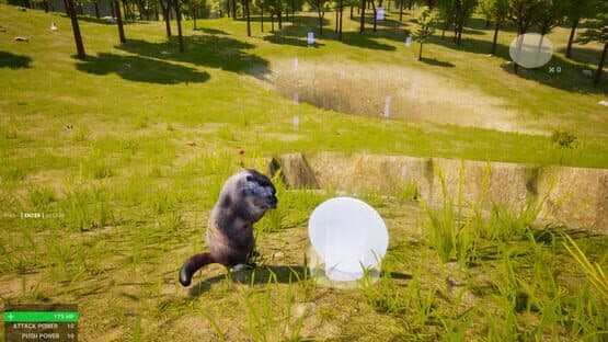 Marmot Fight Club — screenshot 2