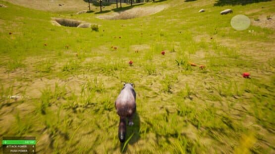 Marmot Fight Club — screenshot 4
