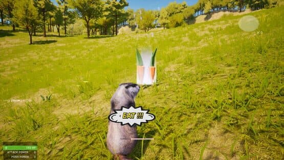 Marmot Fight Club — screenshot 5