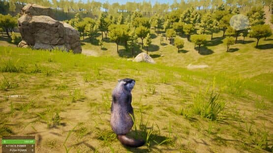 Marmot Fight Club — screenshot 6
