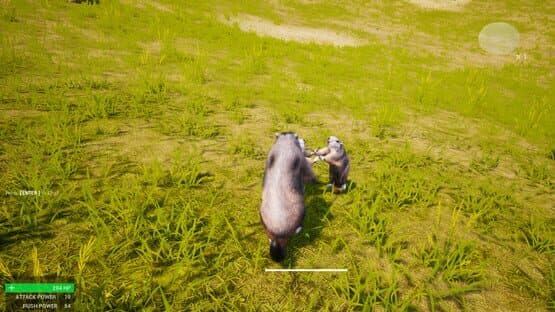 Marmot Fight Club — screenshot 7