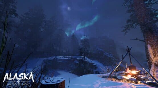 Alaska: An Endless Night — screenshot 6