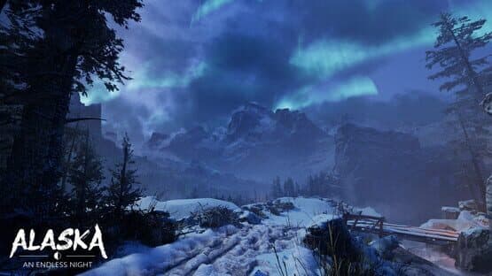 Alaska: An Endless Night — screenshot 7