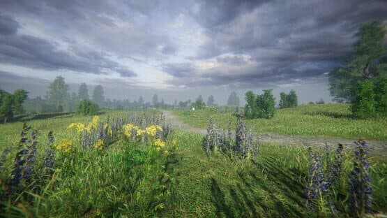 Simulyator Odinochestva V Russkoy Derevne — screenshot 5