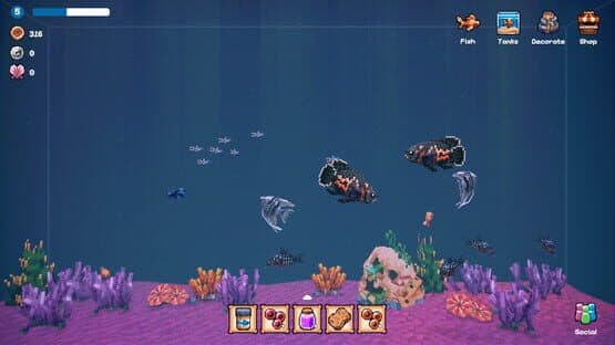 Tiny Aquarium: Social Fishkeeping — screenshot 5