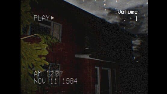 The Silent Witness — screenshot 5