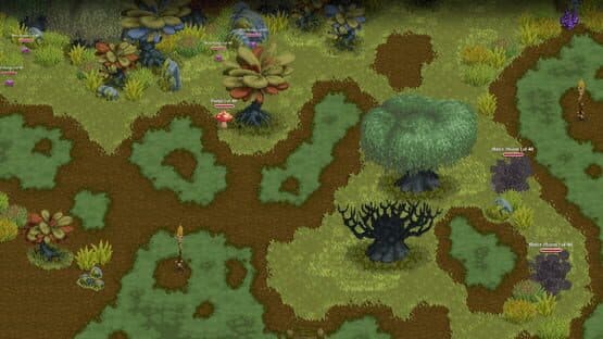 Naïca — screenshot 5