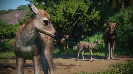 Planet Zoo: Asia Animal Pack — screenshot 3