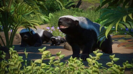 Planet Zoo: Asia Animal Pack — screenshot 5