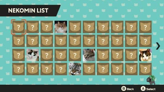 Nekomin Kittens Invasion — screenshot 6