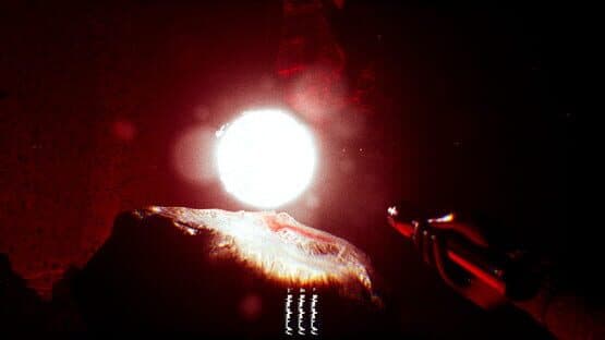 Sagittarius: The Lost and Cursed — screenshot 4