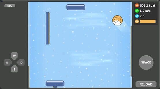 Meow Weight Loss Diary — screenshot 4