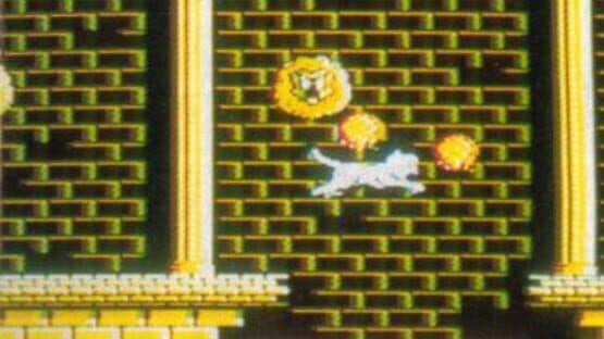 Jungle Taitei — screenshot 2