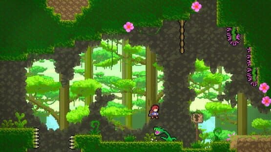 Celeste: Into The Jungle — screenshot 1