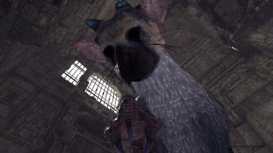 The Last Guardian VR — screenshot 4