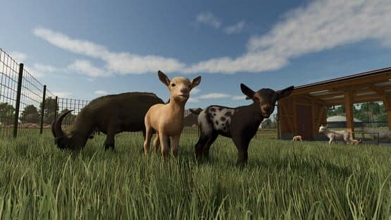 Farming Simulator 25: Highlands Fishing Edition — screenshot 2
