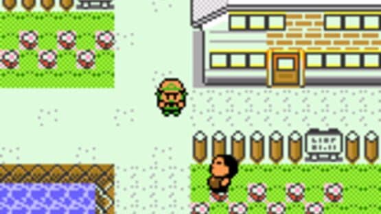 Pokémon Celebrations — screenshot 2