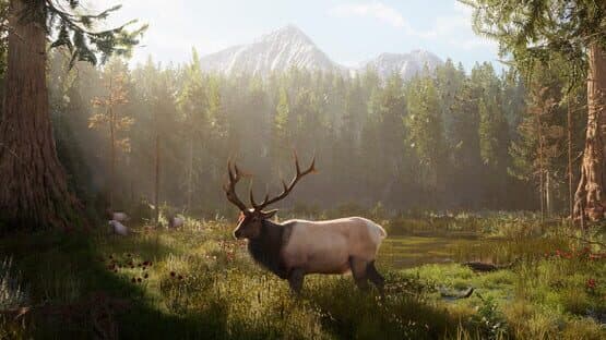 Ultimate Hunting — screenshot 3