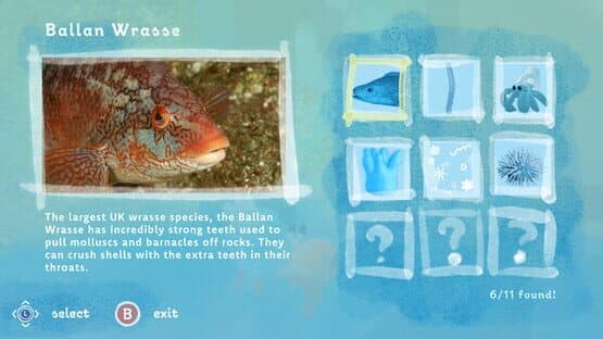 A Home Below — screenshot 5