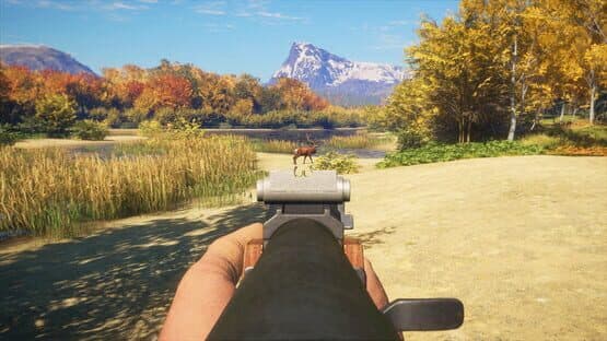 TheHunter: Call of the Wild - Rapid Hunt Rifle Pack — screenshot 1