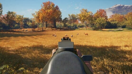 TheHunter: Call of the Wild - Rapid Hunt Rifle Pack — screenshot 2