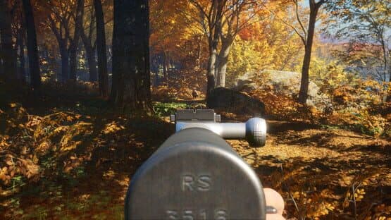TheHunter: Call of the Wild - Rapid Hunt Rifle Pack — screenshot 4
