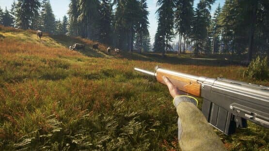 TheHunter: Call of the Wild - Rapid Hunt Rifle Pack — screenshot 6