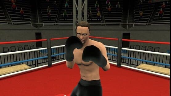 Golden Gloves VR — screenshot 1